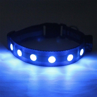 Hundehalsbånd med kunstige juveler - Blåt lys